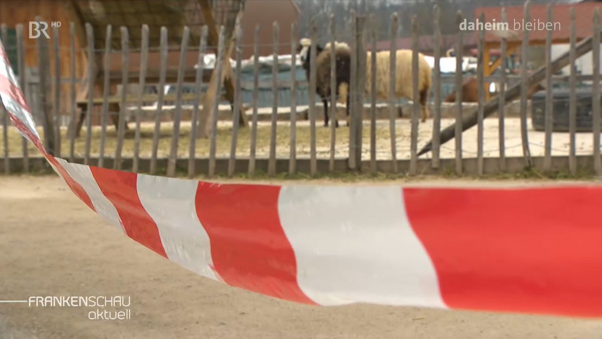 Corona Warn App Und Kindergeburtstage Auf Dem Bauernhof