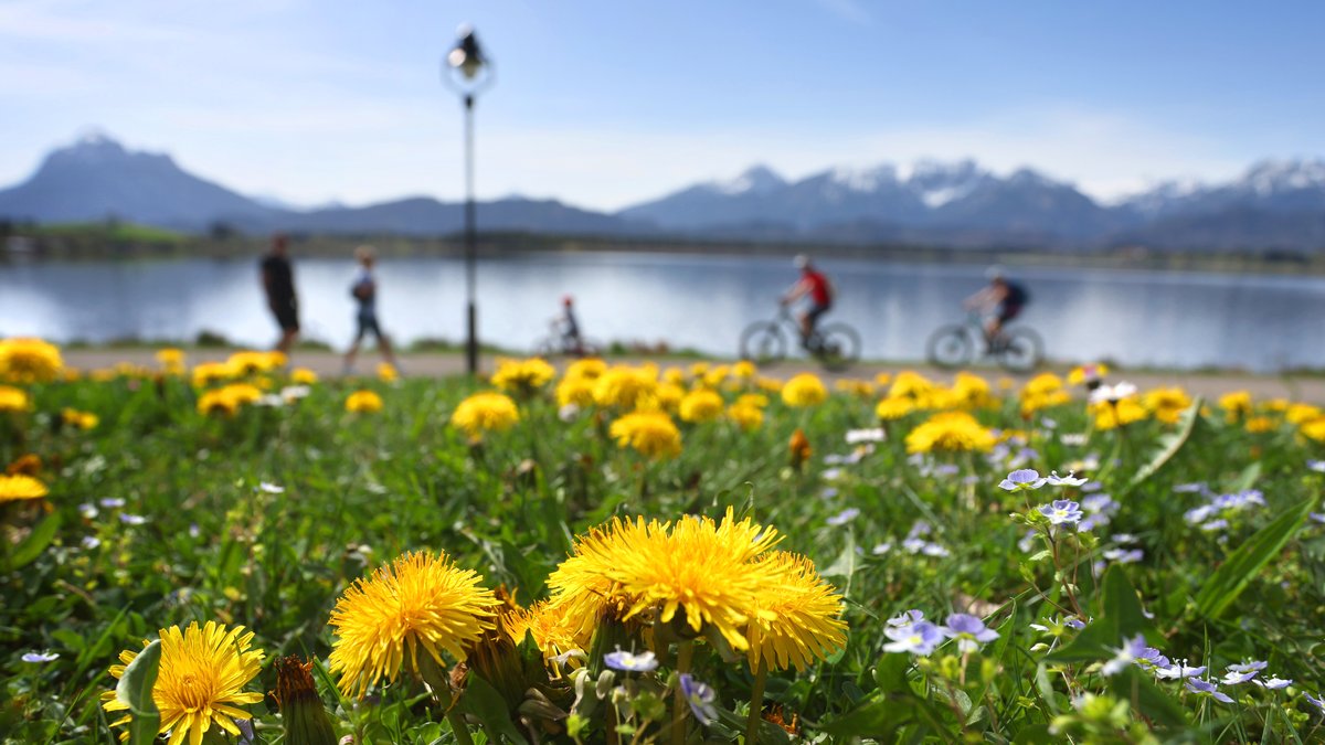 Ausflügler genießen hinter einer Blumenwiese die sommerlichen Temperaturen am Ufer des Hopfensees; Wärmerekord in Bayern: Ist das Wetter oder Klima?