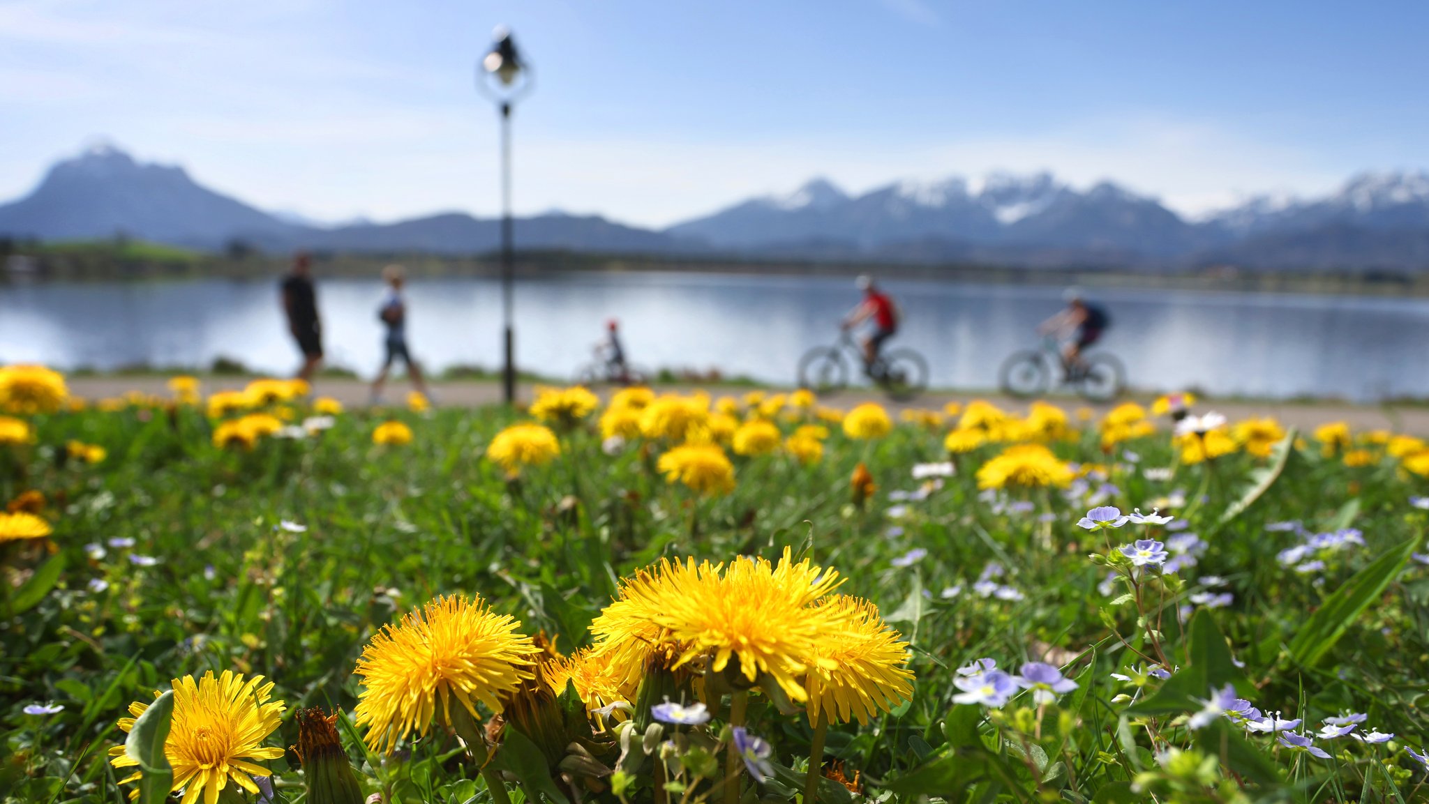 Wärmerekord und Saharastaub: Ist das Wetter oder Klimawandel?