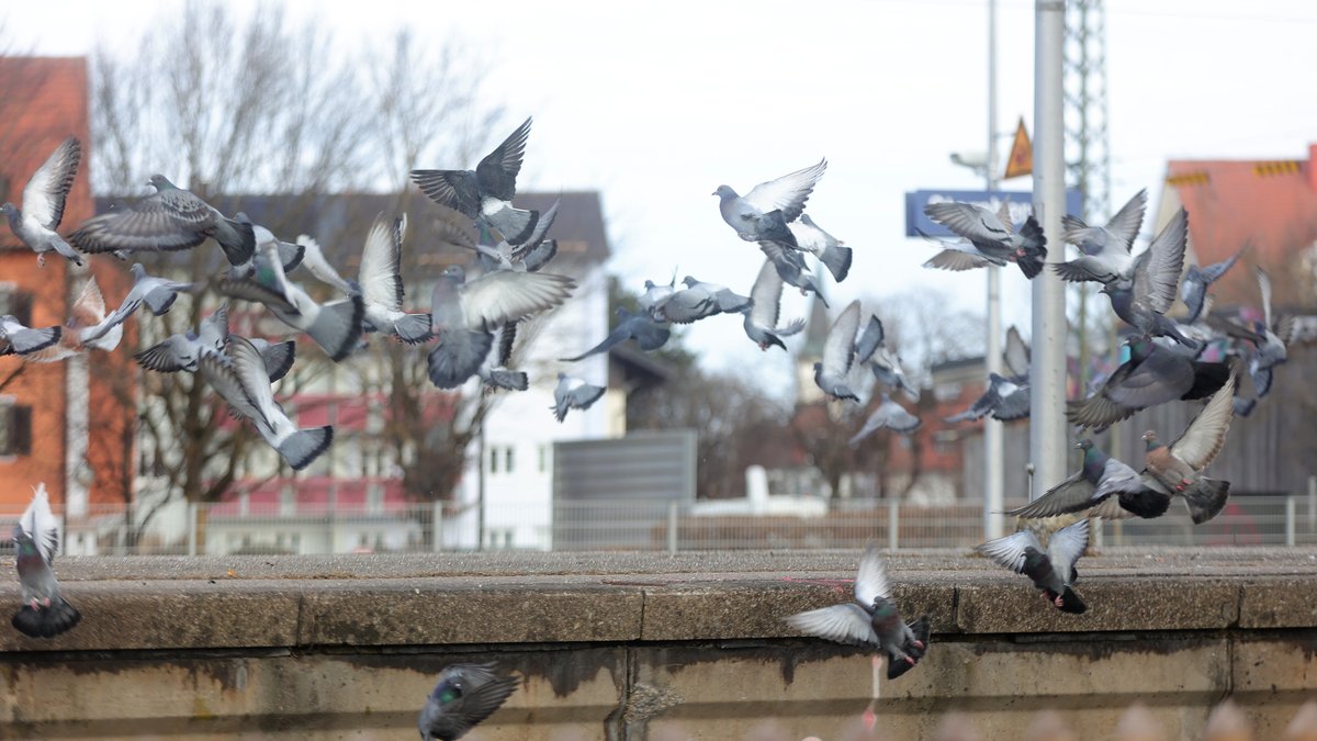 Toter von Starnberg: Polizei bittet um Hinweise