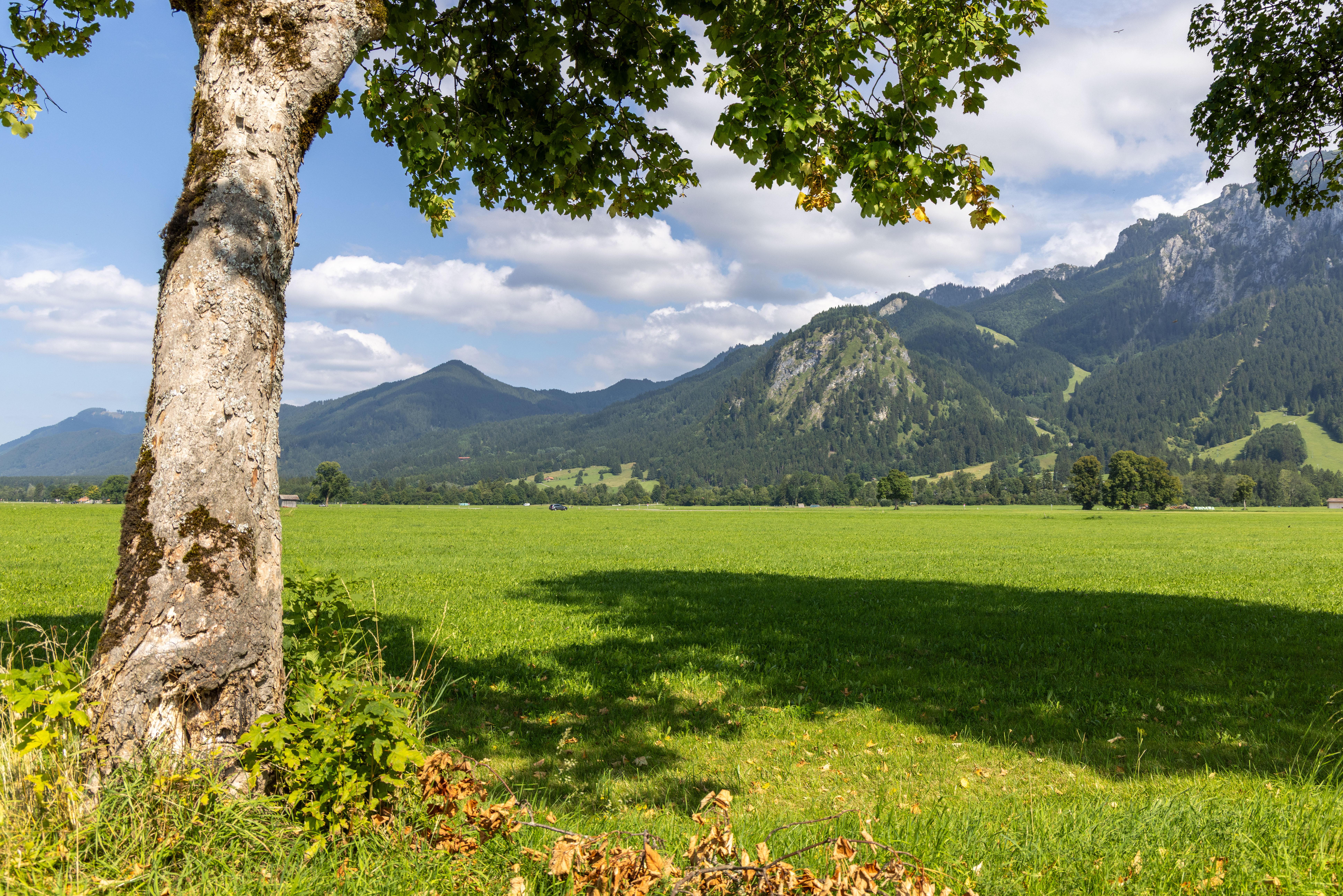 Die Sonne scheint bei blauem Himmel und einigen Wolken im August 2025 auf die Landschaft im Ostallgäu.