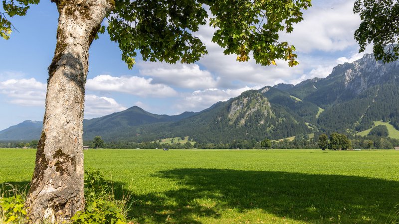 Die Sonne scheint bei blauem Himmel und einigen Wolken im August 2025 auf die Landschaft im Ostallgäu. | Bild: picture alliance / Jan Eifert | Jan Eifert Die Sonne scheint bei blauem Himmel und einigen Wolken im August 2025 auf die Landschaft im Ostallgäu.