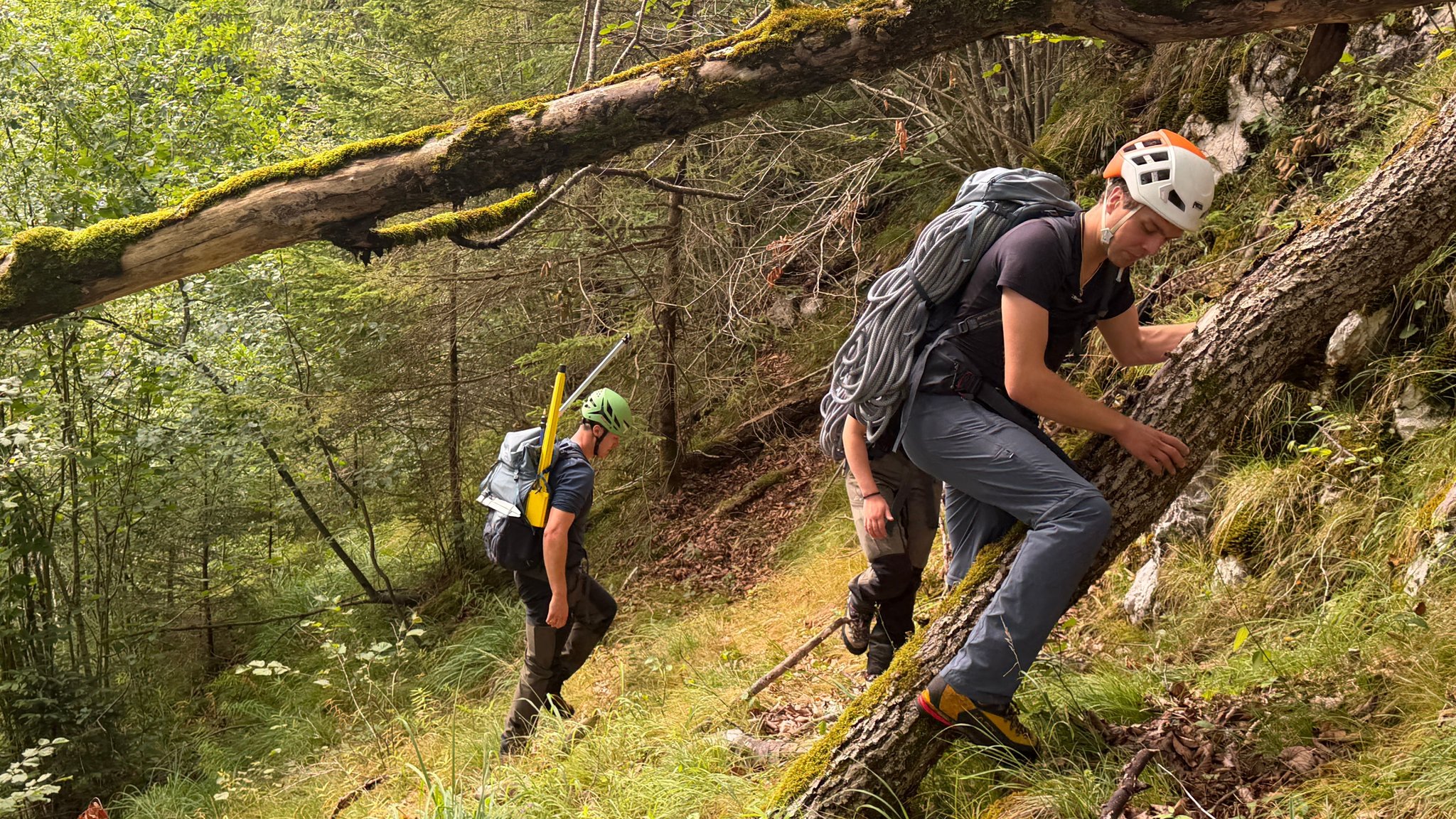 Spezialisten bei der Waldinventur sind mit Kletterausrüstung im Steilgelände unterwegs. | Bild: BR/Georg Bayerle Spezialisten bei der Waldinventur sind mit Kletterausrüstung im Steilgelände unterwegs.