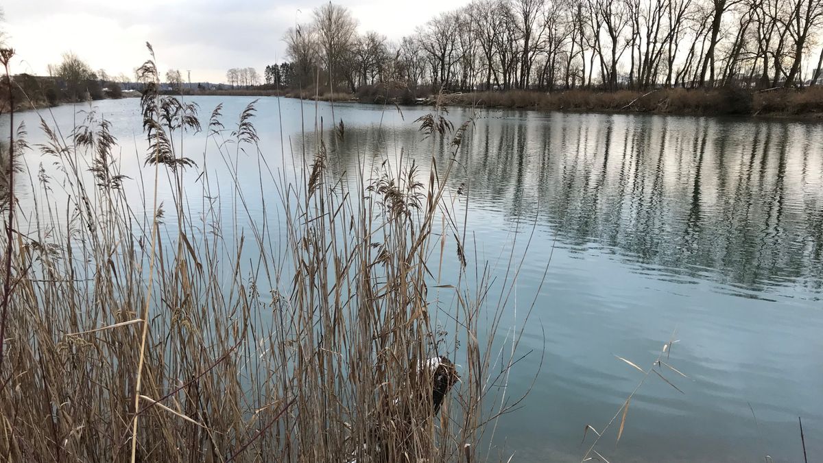 Flussprojekt Donau Soll Zwei Kilometer Langer Werden Br24