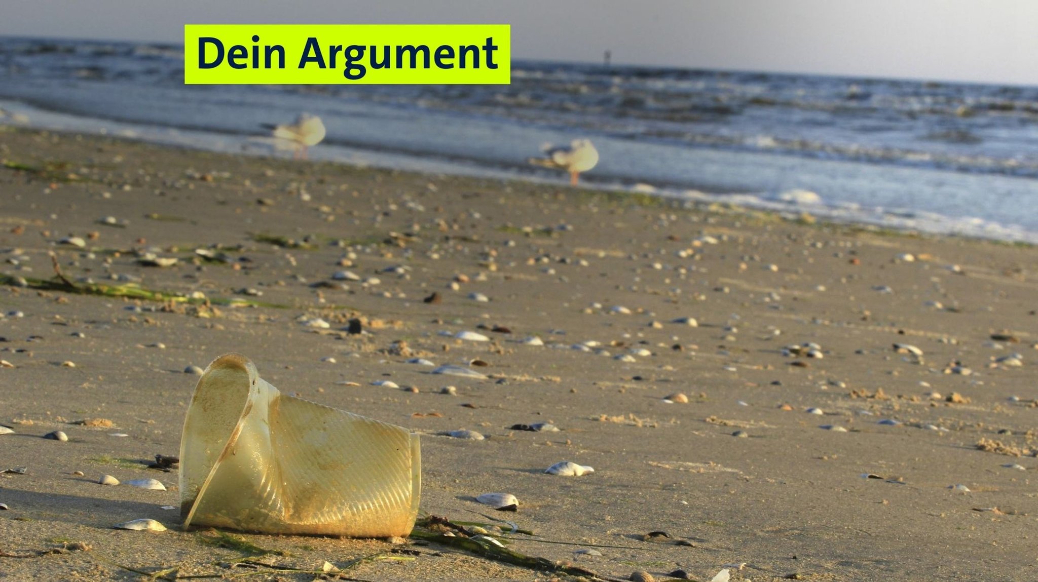 Ein Plastikbecher liegt an einem Strand herum. 