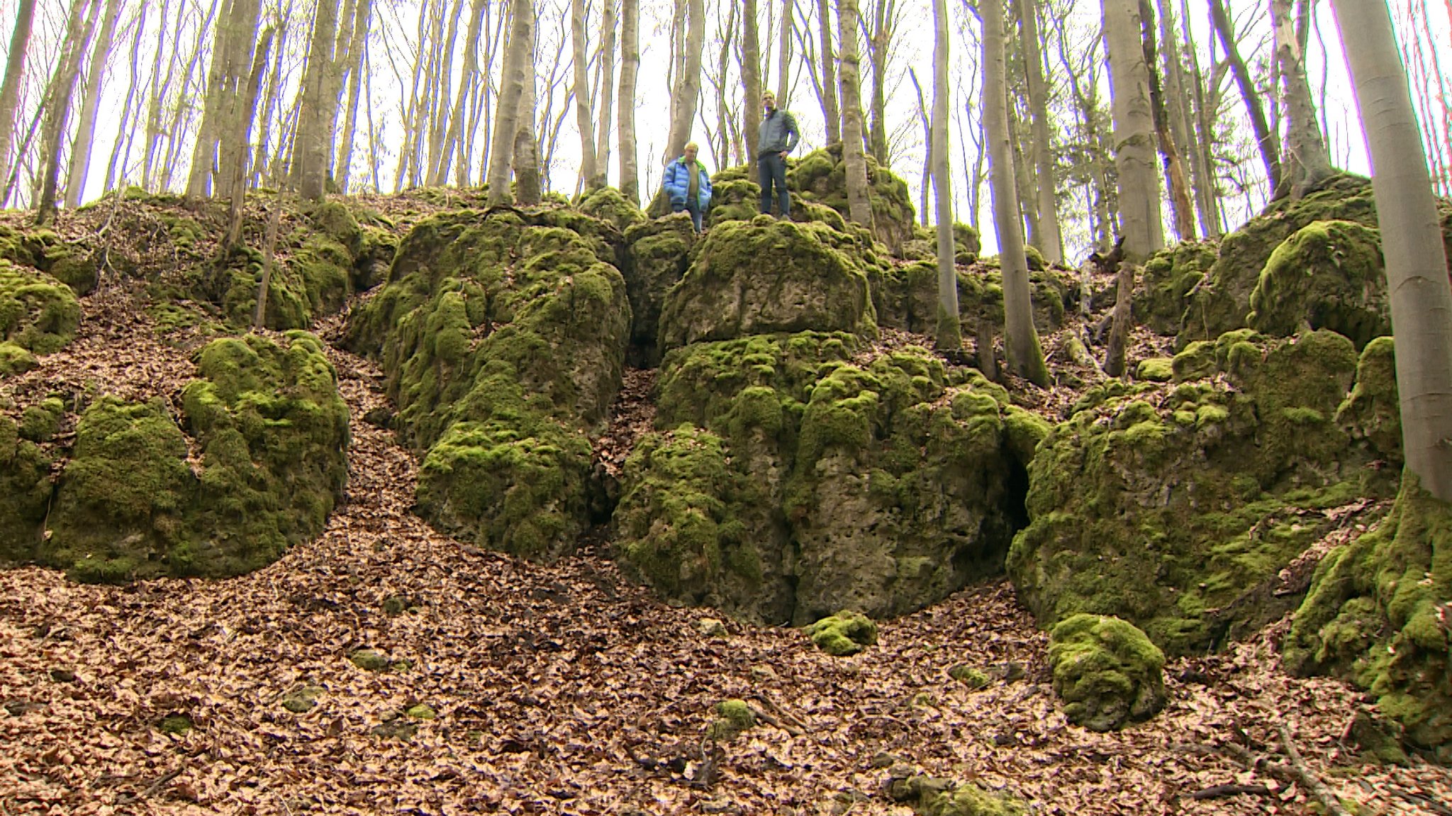 Felsformation im Wald. 