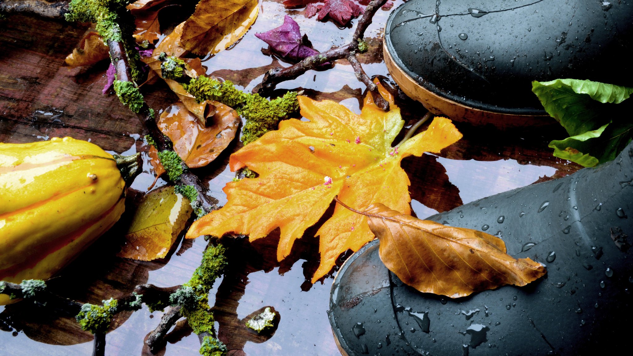 Zeit für Gummistiefel: Wind und Regen zum Wochenende