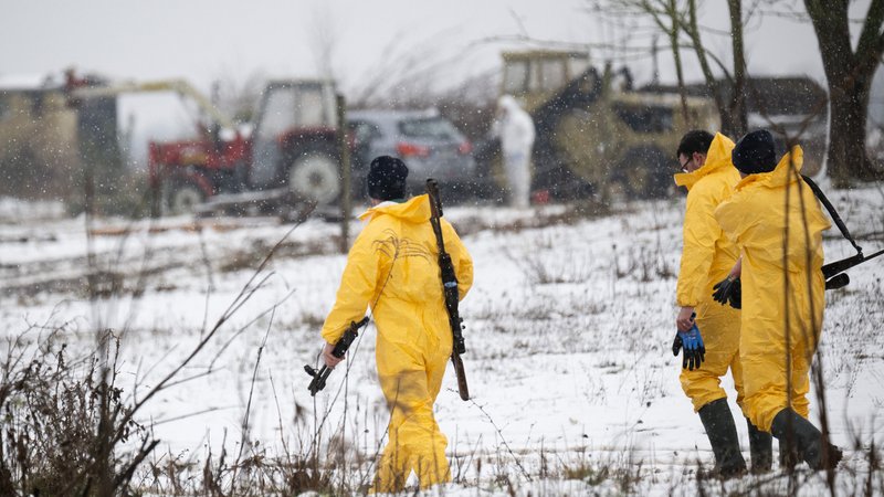 Ausbruch der Maul- und Klauenseuche: Tiergesundheit in Gefahr | Bild: dpa-Bildfunk/Sebastian Gollnow Ausbruch der Maul- und Klauenseuche: Tiergesundheit in Gefahr