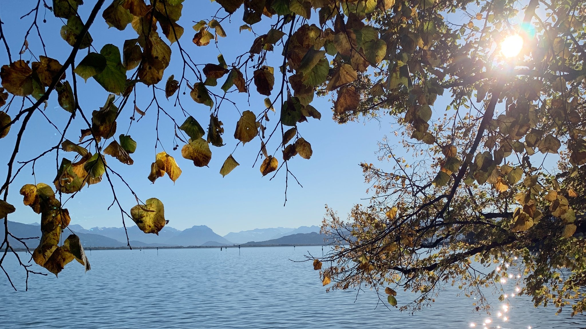 Blick an herbstlichem Sonnentag vom Lindauer Ufer über den Bodensee in die Alpen