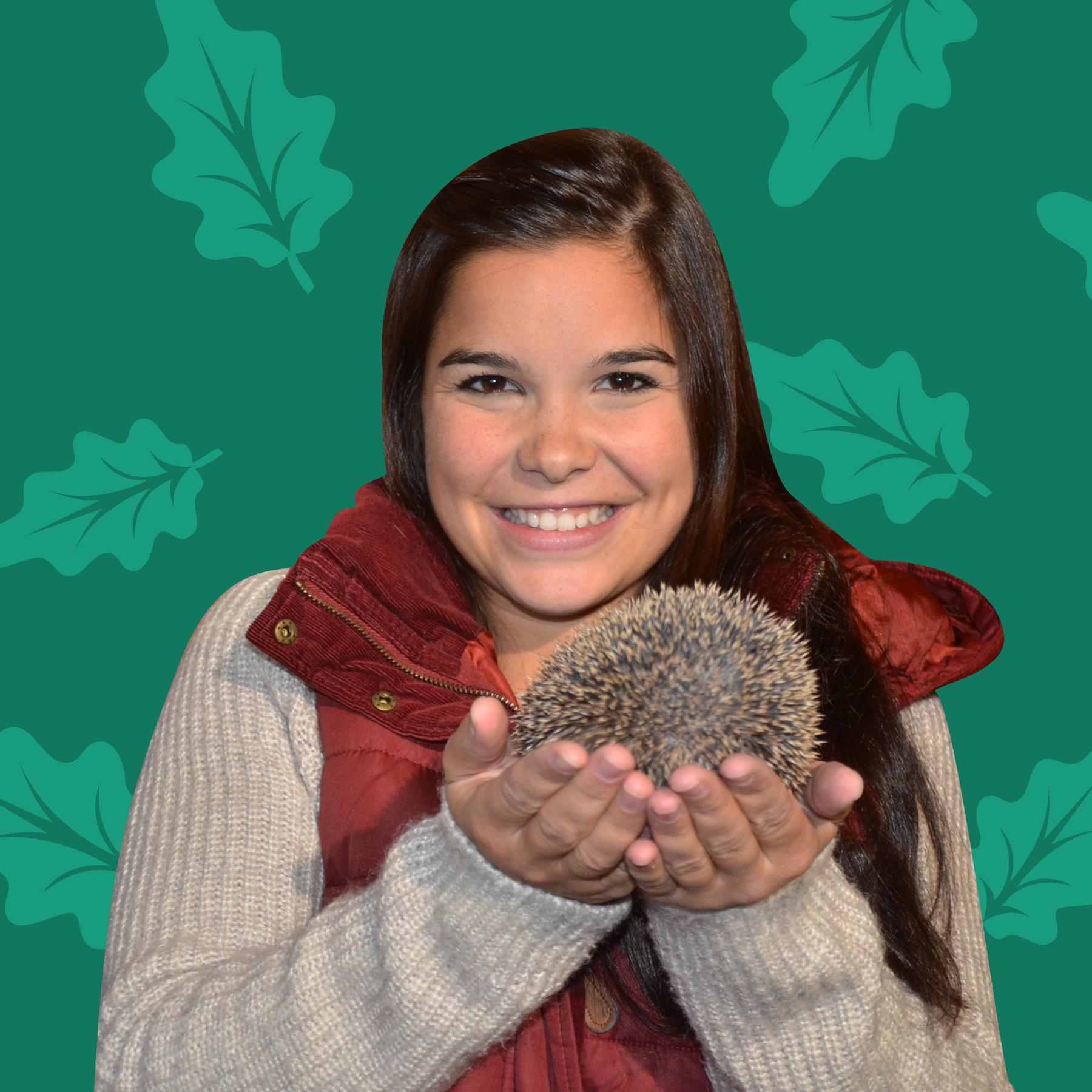 Igel – Stacheltiere in unseren Gärten