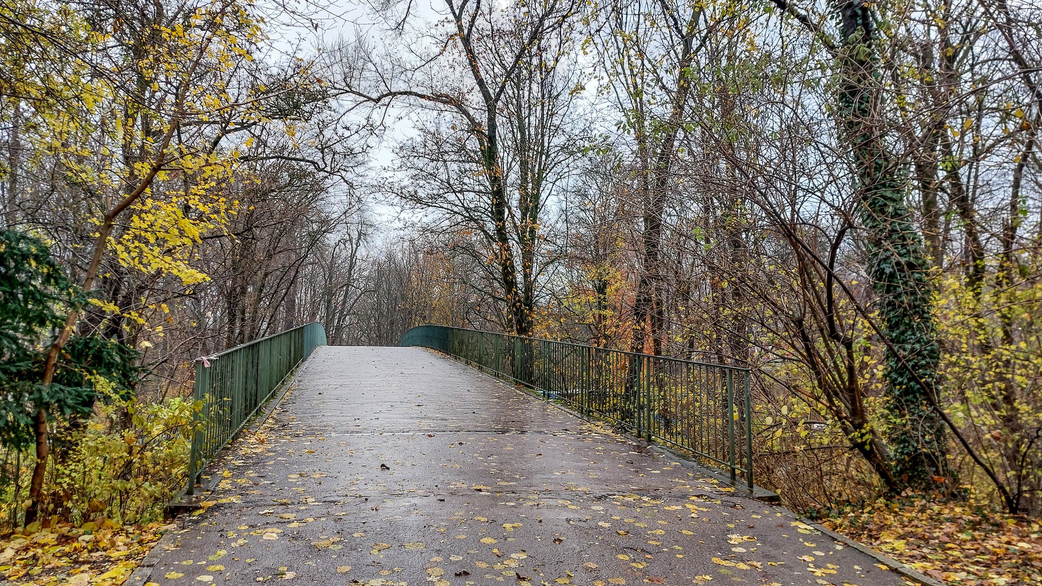 Die Fußgängerbrücke nahe des Kleinhesseloher Sees, die den südlichen und den nördlichen Teil des Englischen Gartens über den Isarring verbindet.