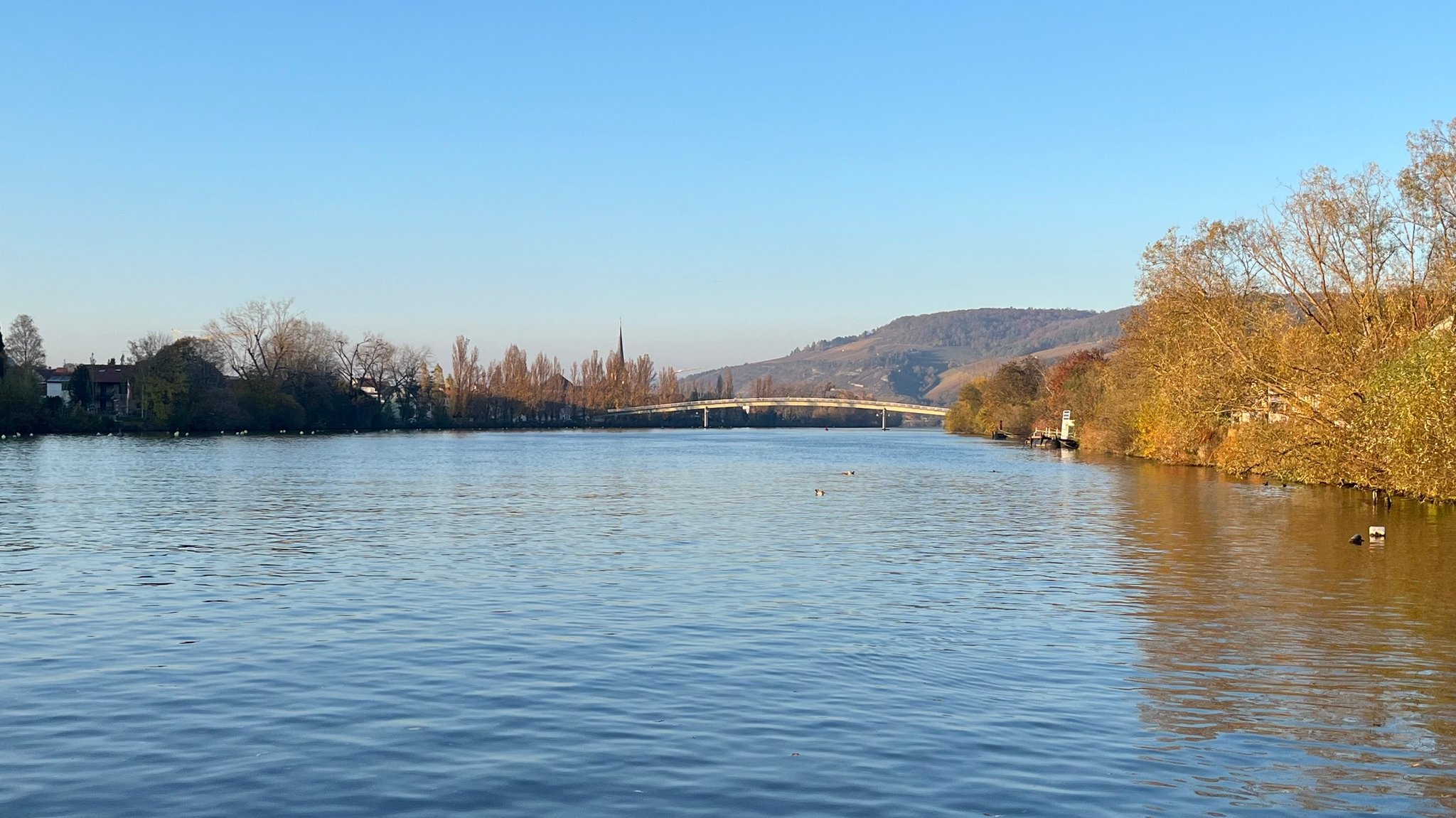 Der alte Ludwig-Volk-Steg, der Margetshöchheim und Veitshöchheim verbindet. 