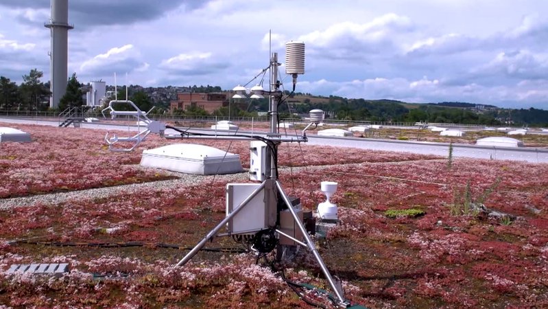Dach mit Pflanzen. | Bild: BR Dach mit Pflanzen.