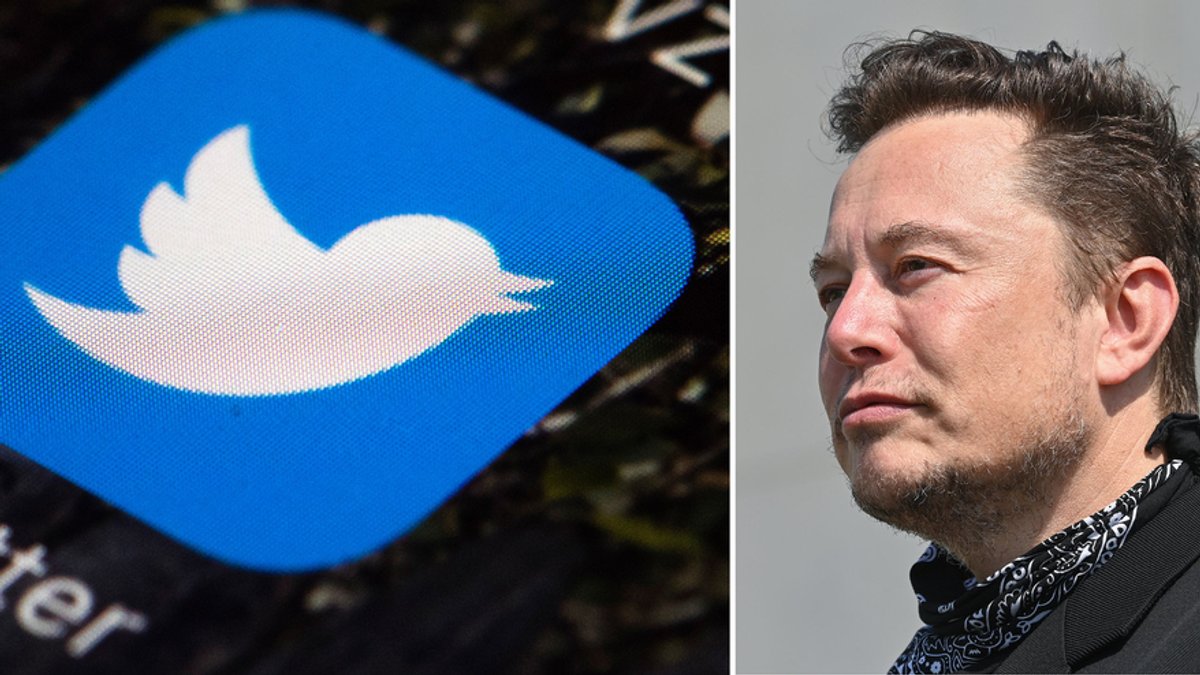 Twitter-Logo (links), Elon Musk (rechts)