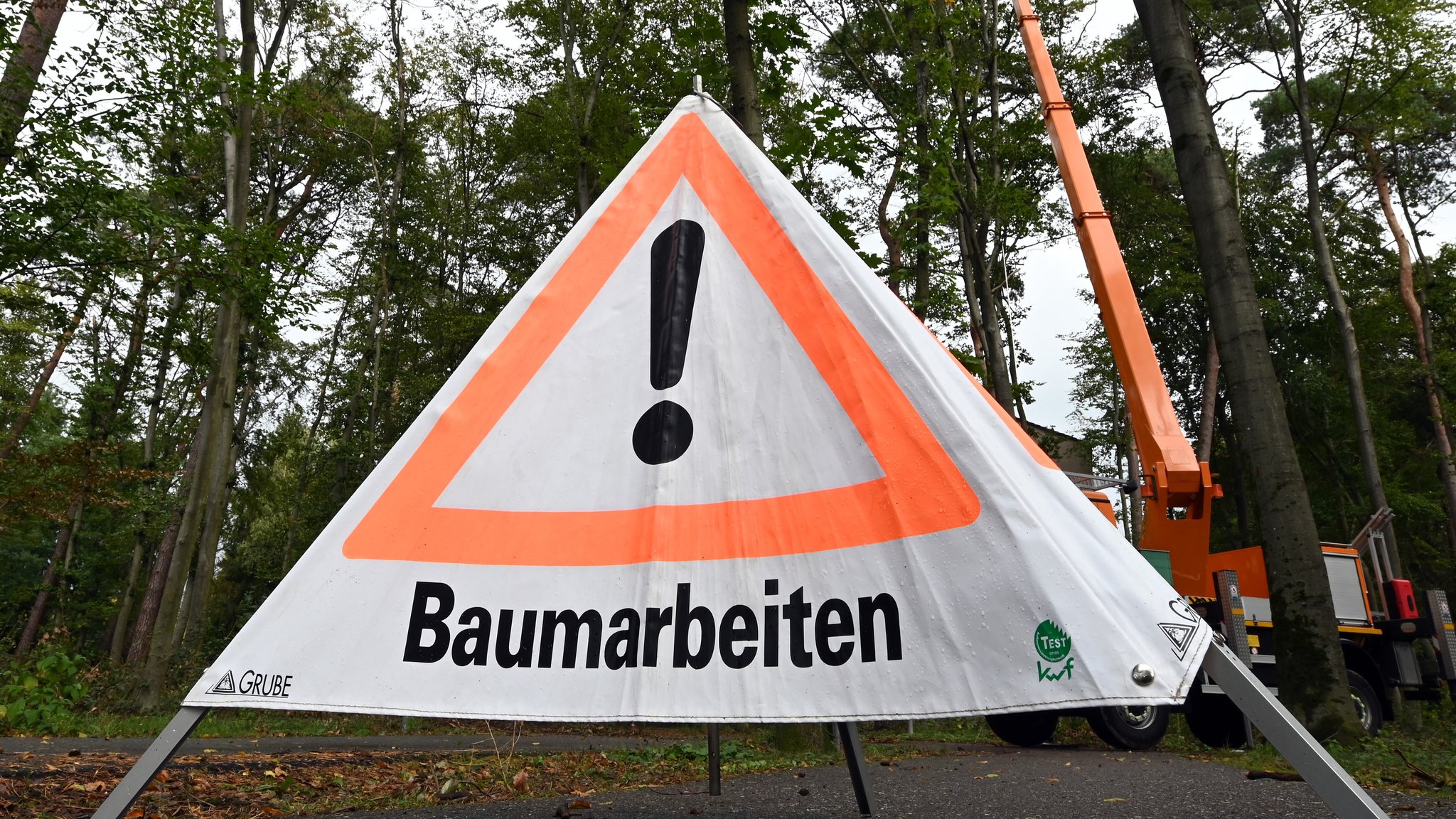 3.000 Bäume müssen weg: Bahnstrecke ab Herbst gesperrt