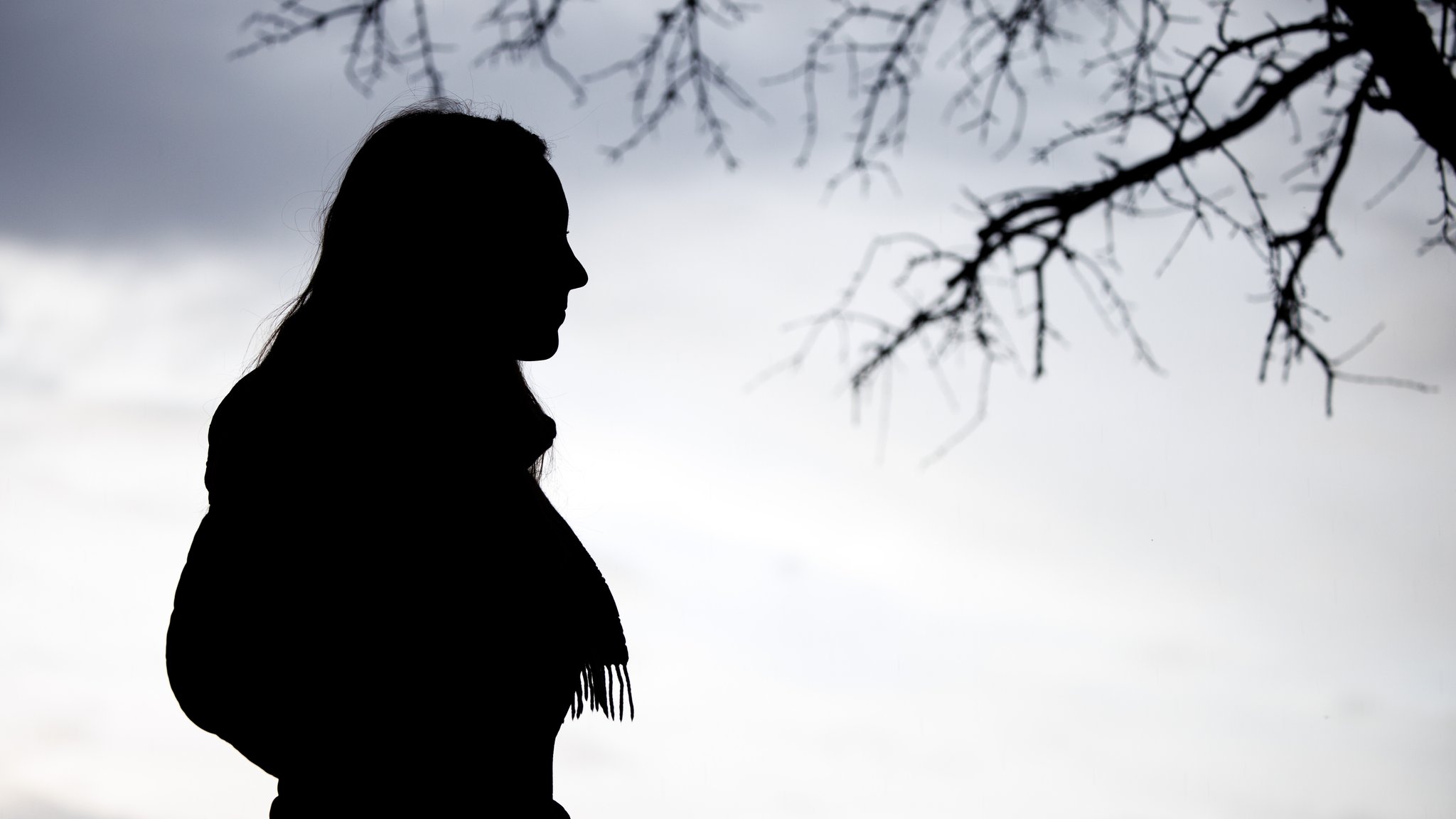 Schattenriss einer Frau vor grauem Himmel und ein Baum mit nackten Ästen