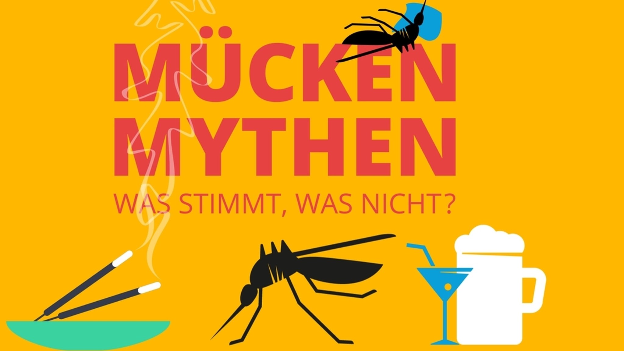 Mücken-Mythen