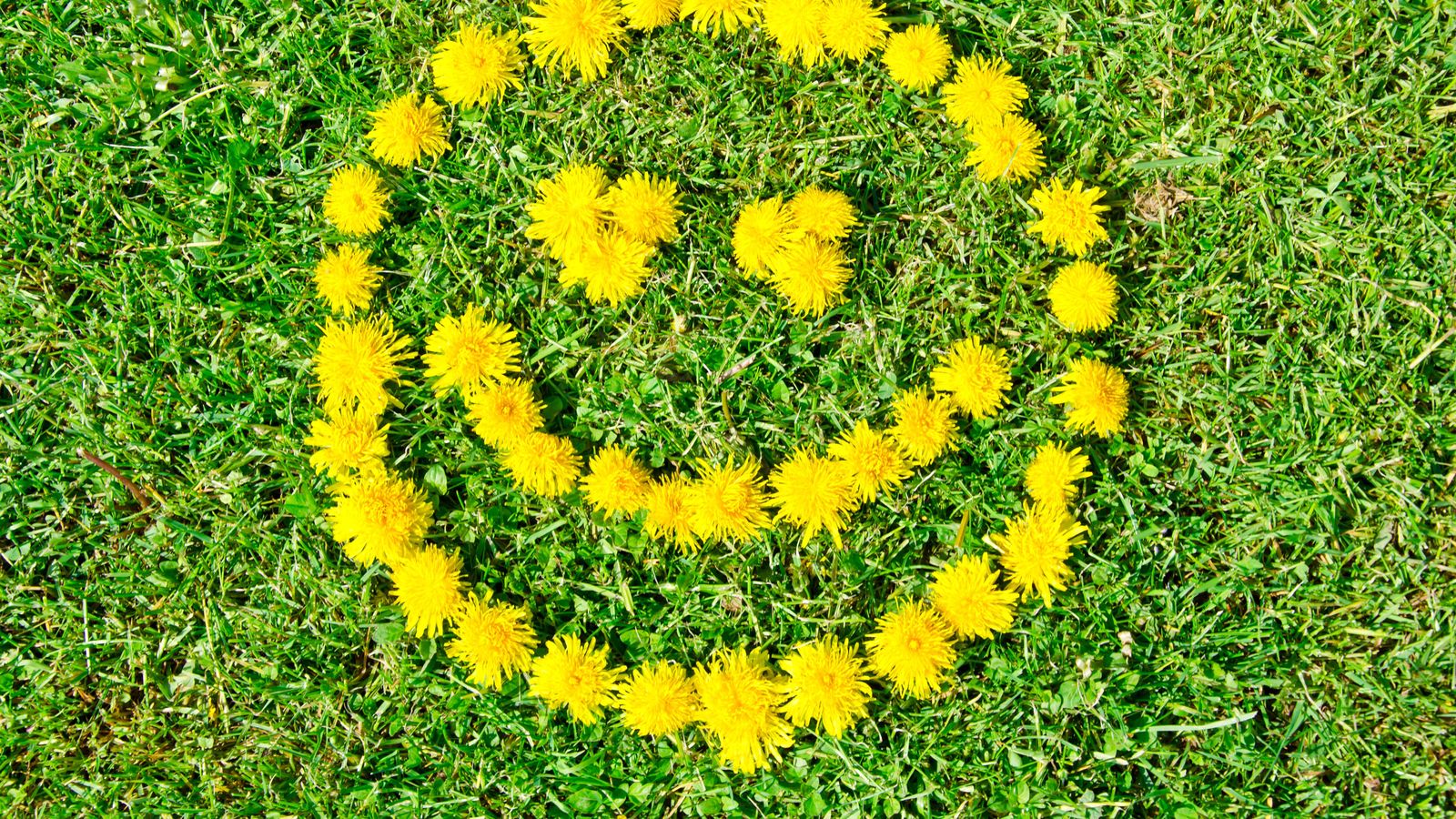 Global Flourishing Study: Deutsche sind nur mäßig glücklich | BR24