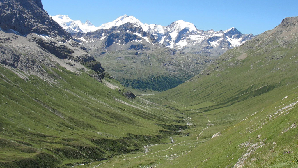 Blick aus dem Val da Fain auf den Piz Bernina in der Schweiz. Die Alpenhöhen werden durch den Klimawandel deutlich grüner, die Schneemenge nimmt dagegen ab.