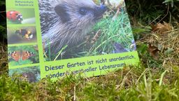 Zu sehen ist ein Schild mit eienm Igel und der Aufschrift: "Dieser Garten ist nicht unordentlich sondern wertvoller Lebensraum". | Bild:BR/Thurow