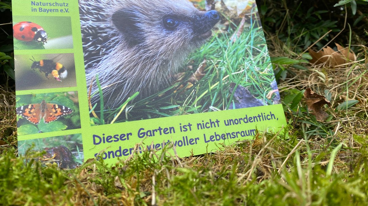 Zu sehen ist ein Schild mit einem Igel und der Aufschrift: "Dieser Garten ist nicht unordentlich, sondern wertvoller Lebensraum".