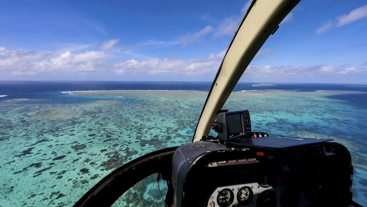 Forscher bezweifeln Überleben des Great Barrier Reef
