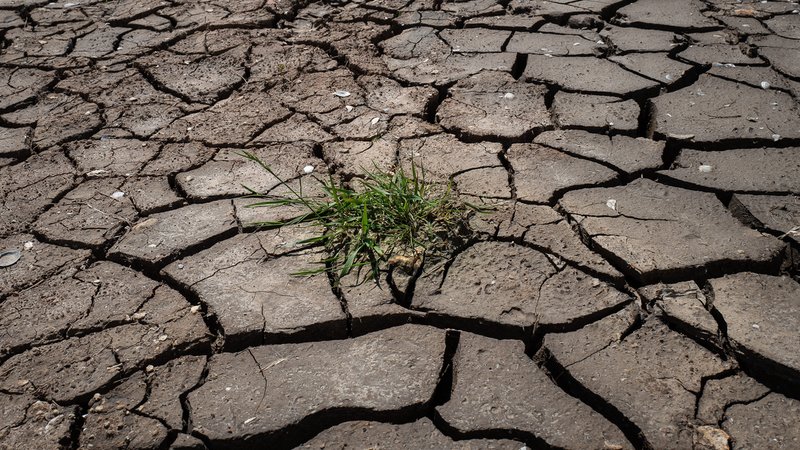 Verheerende Dürre in Frankreich