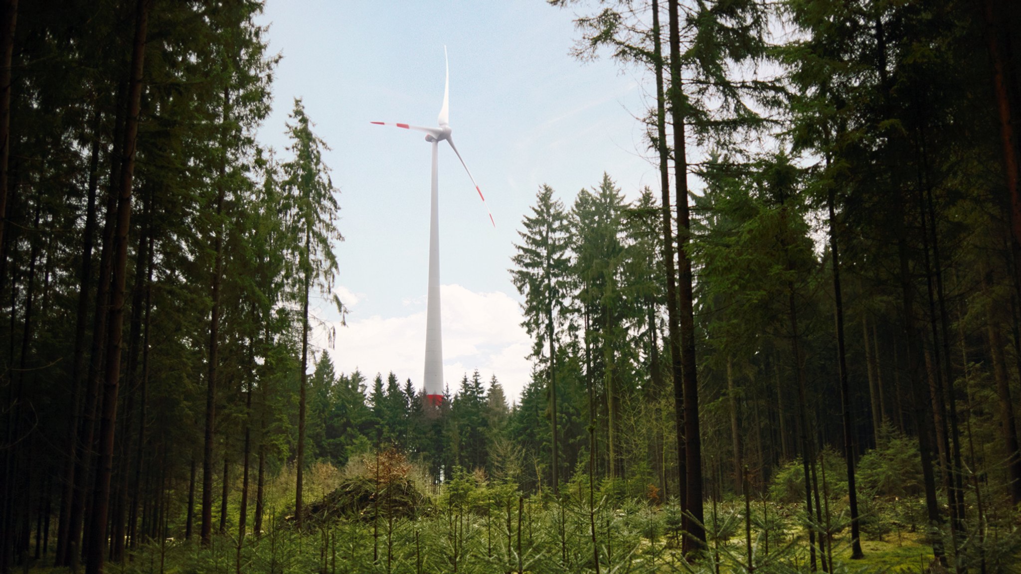 Staatsforsten planen ersten eigenen Windpark in Oberfranken