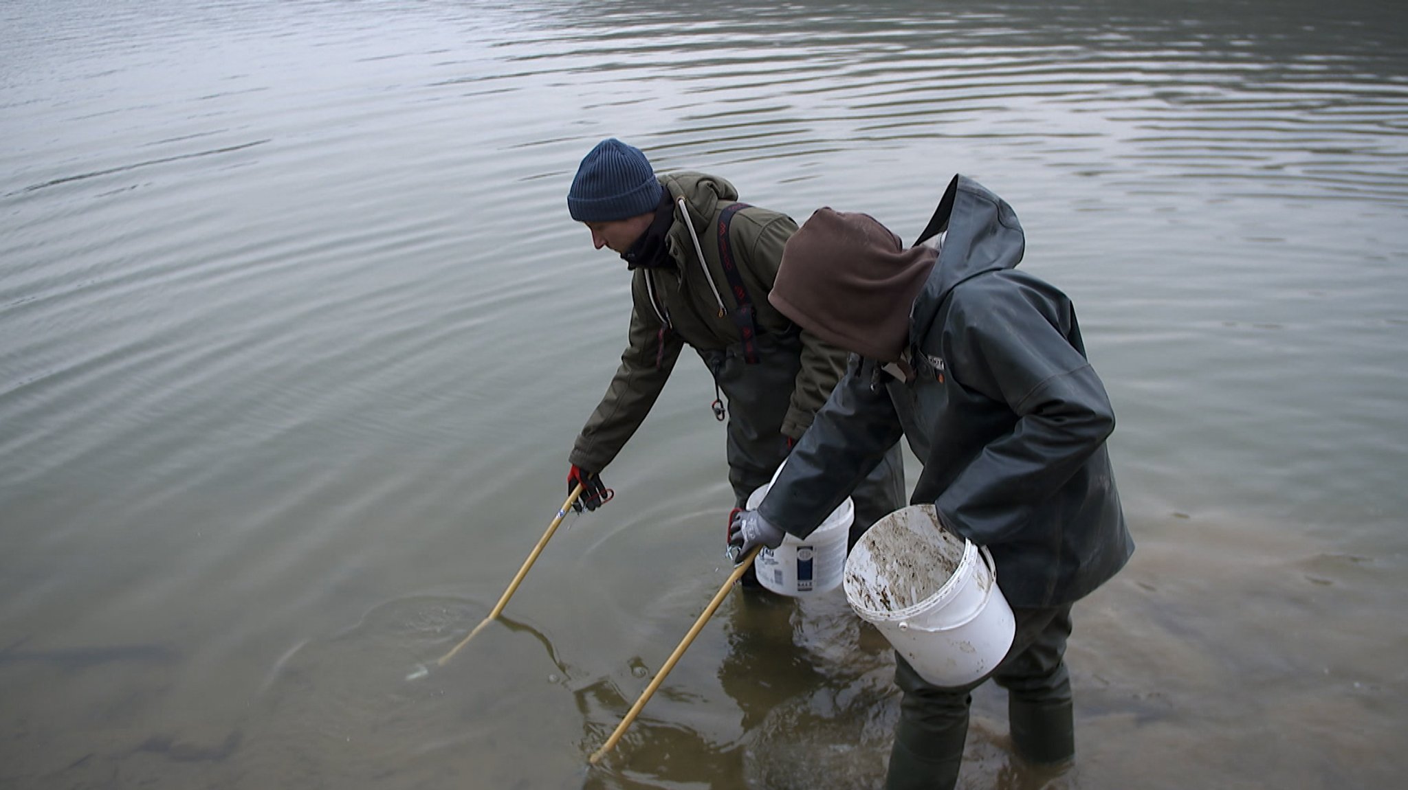 Muschelretter mit Eimer und Kescher in Aktion