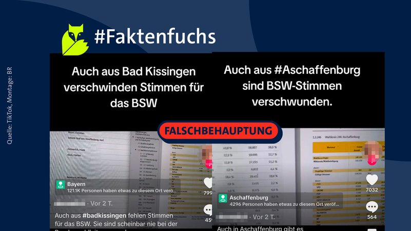 Screenshots mit TikTok-Videos, darüber der Stempel "Falschbehauptung". | Bild: tiktok.com, Montage: BR Screenshots mit TikTok-Videos, darüber der Stempel "Falschbehauptung".