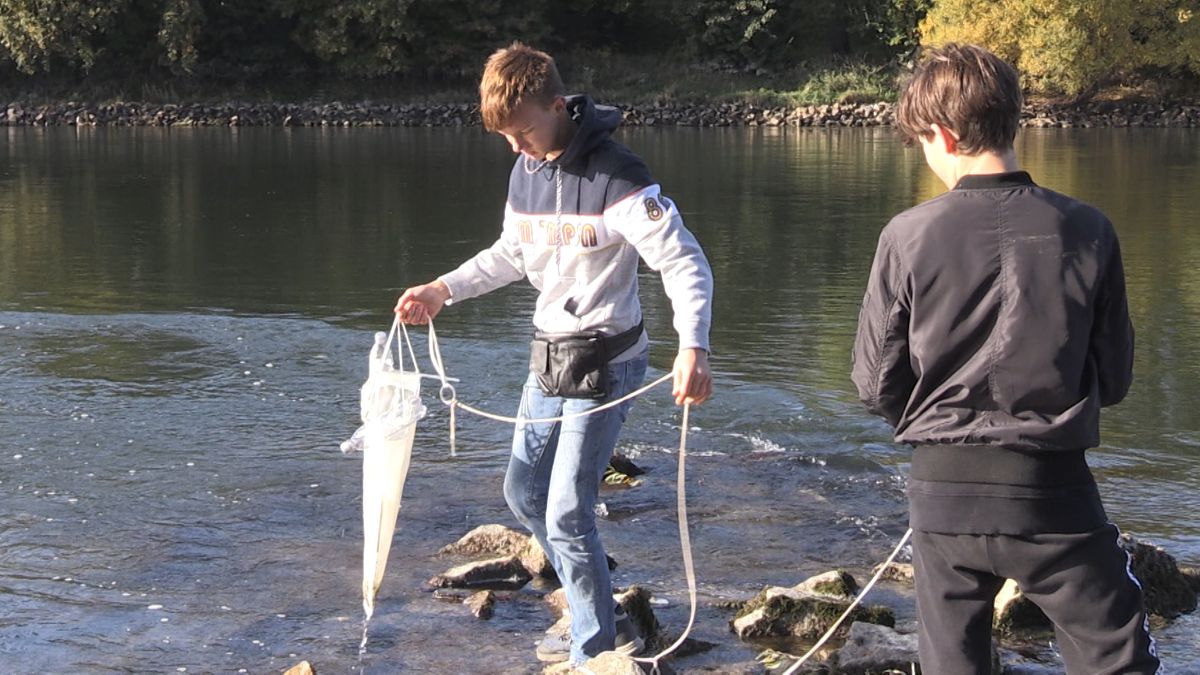 Schüler filtert mit Hilfe eines ehr feinen Netzes Mikroplastik aus der Donau heraus.