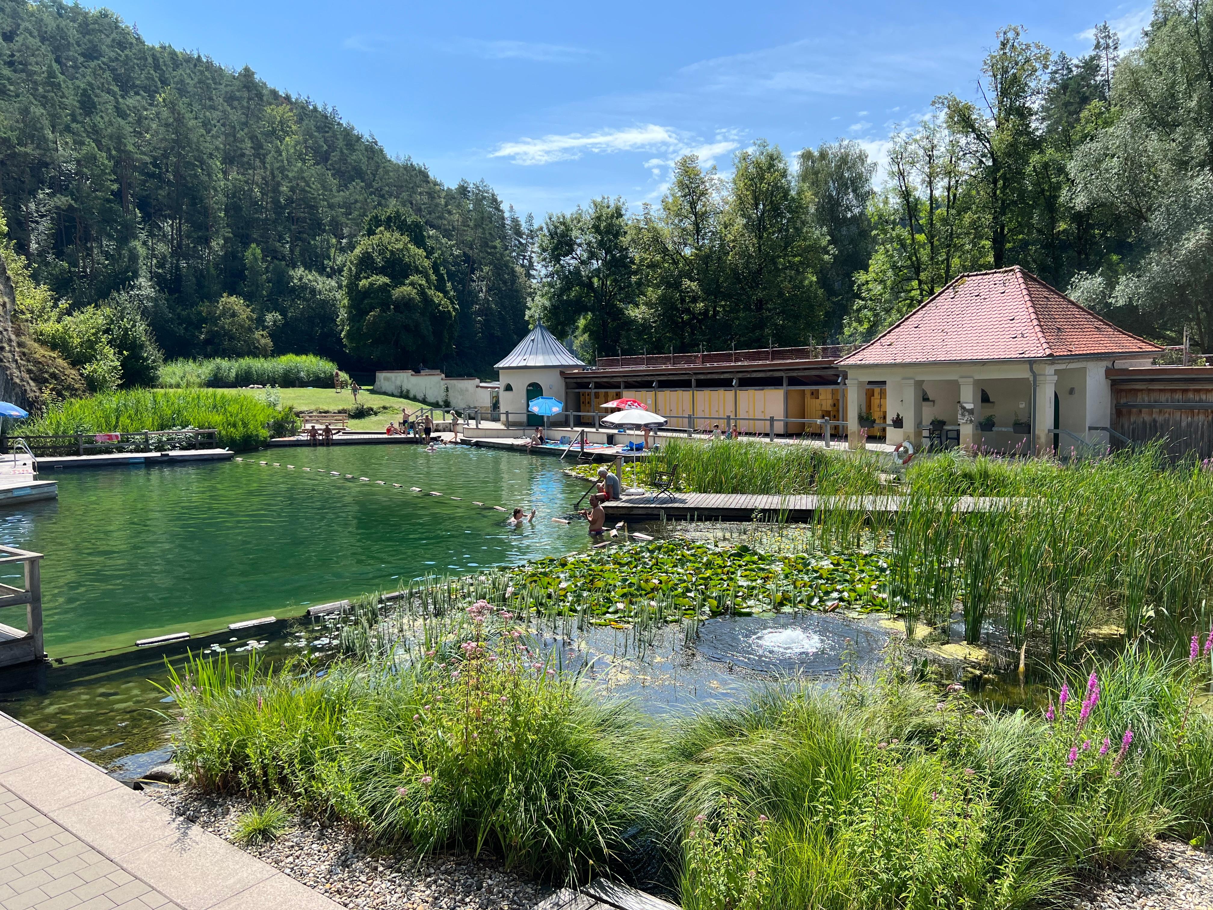 Ein Naturbecken, umringt von Pflanzen.