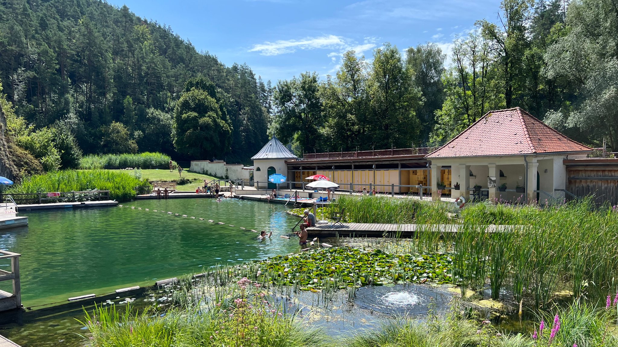 Wie das Felsenbad Pottenstein aus dem Dornröschenschlaf erwachte