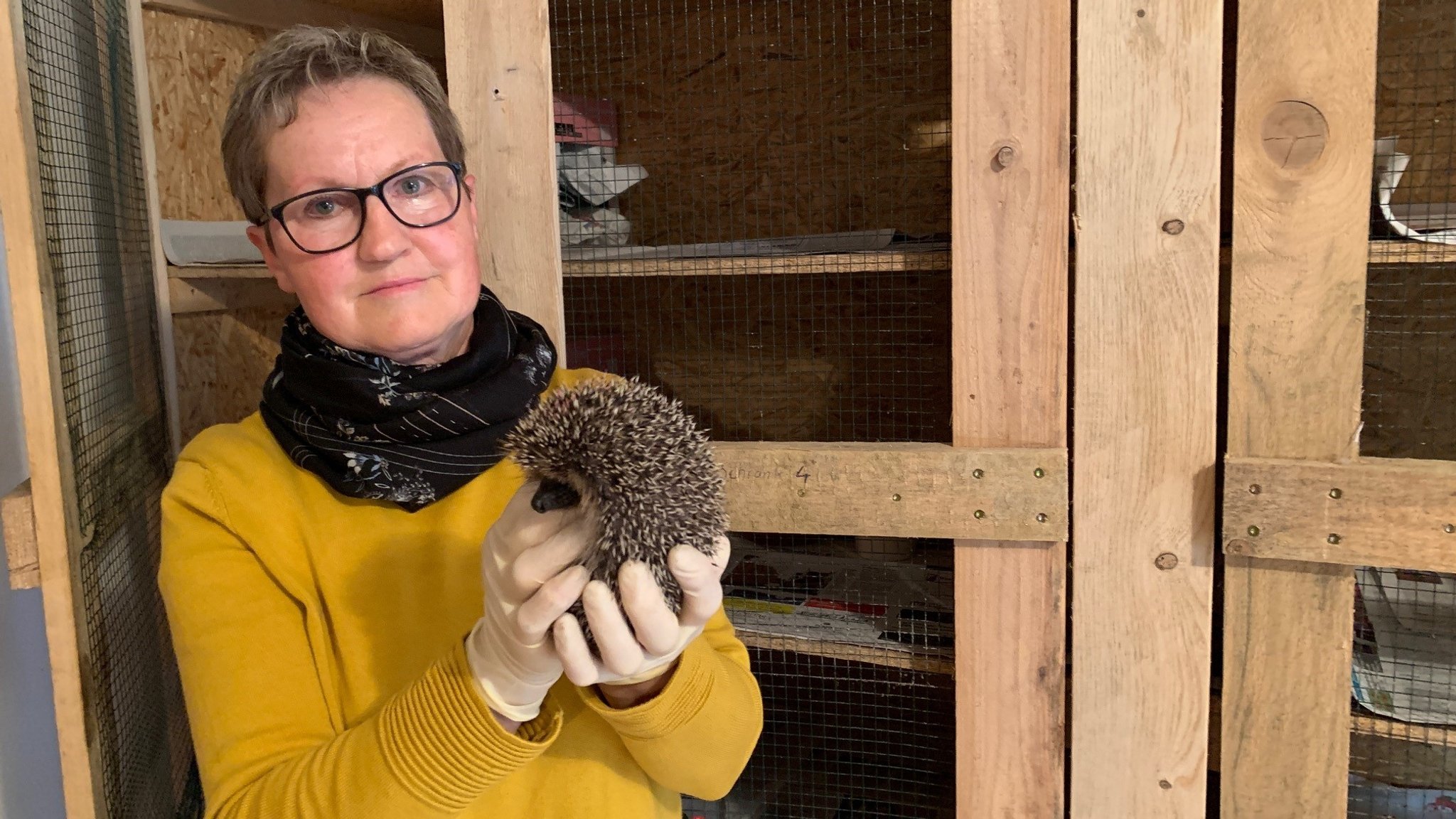 Gabi Finkenzeller hält einen kleinen Igel in der Hand. 