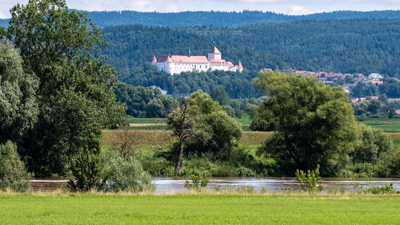 Das Schloss Wörth an der Donau | Bild: picture alliance/dpa/Armin Weigel Das Schloss Wörth an der Donau