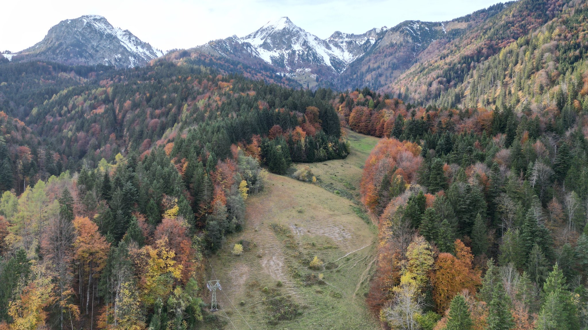 Piste einsatzbereit: Abfahrt am Geigelstein wieder ohne Gestrüpp