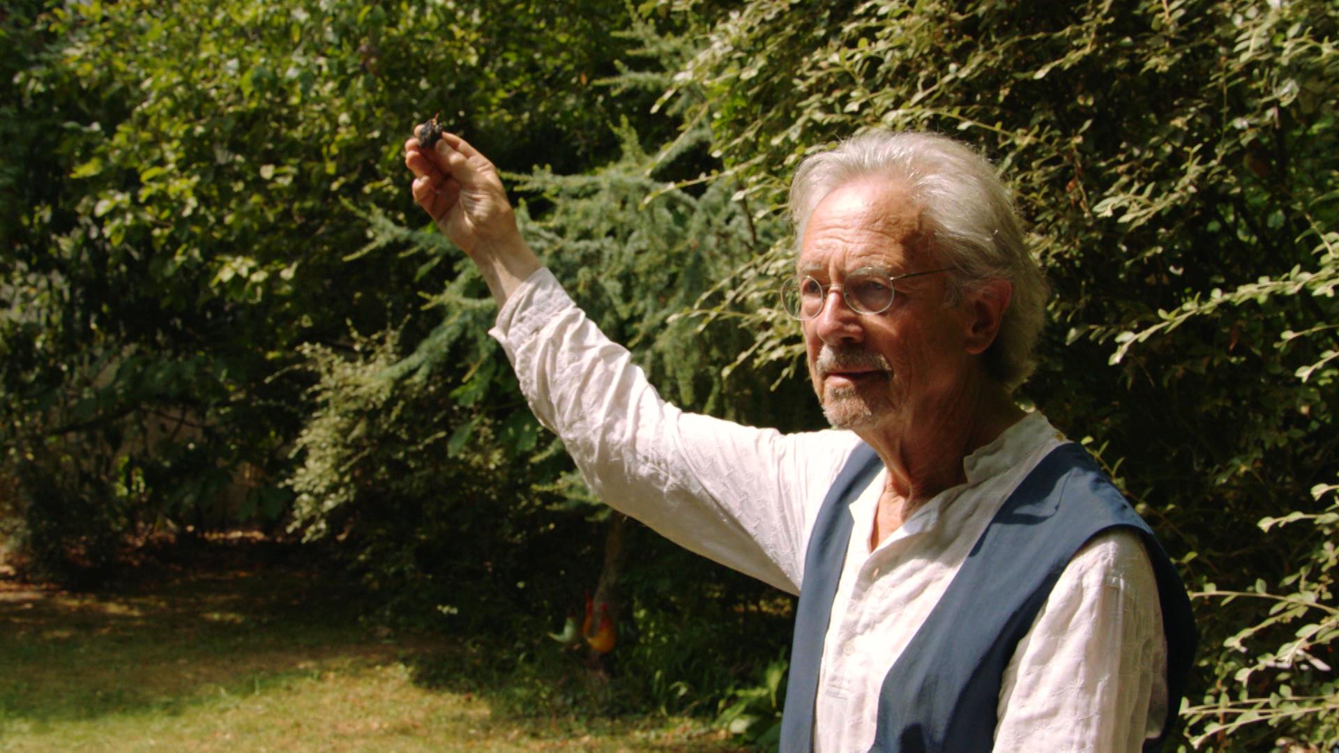 Резултат с изображение за peter handke