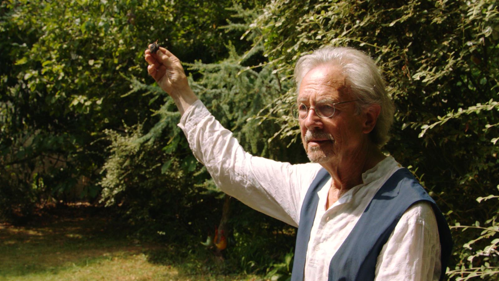 Резултат с изображение за peter handke