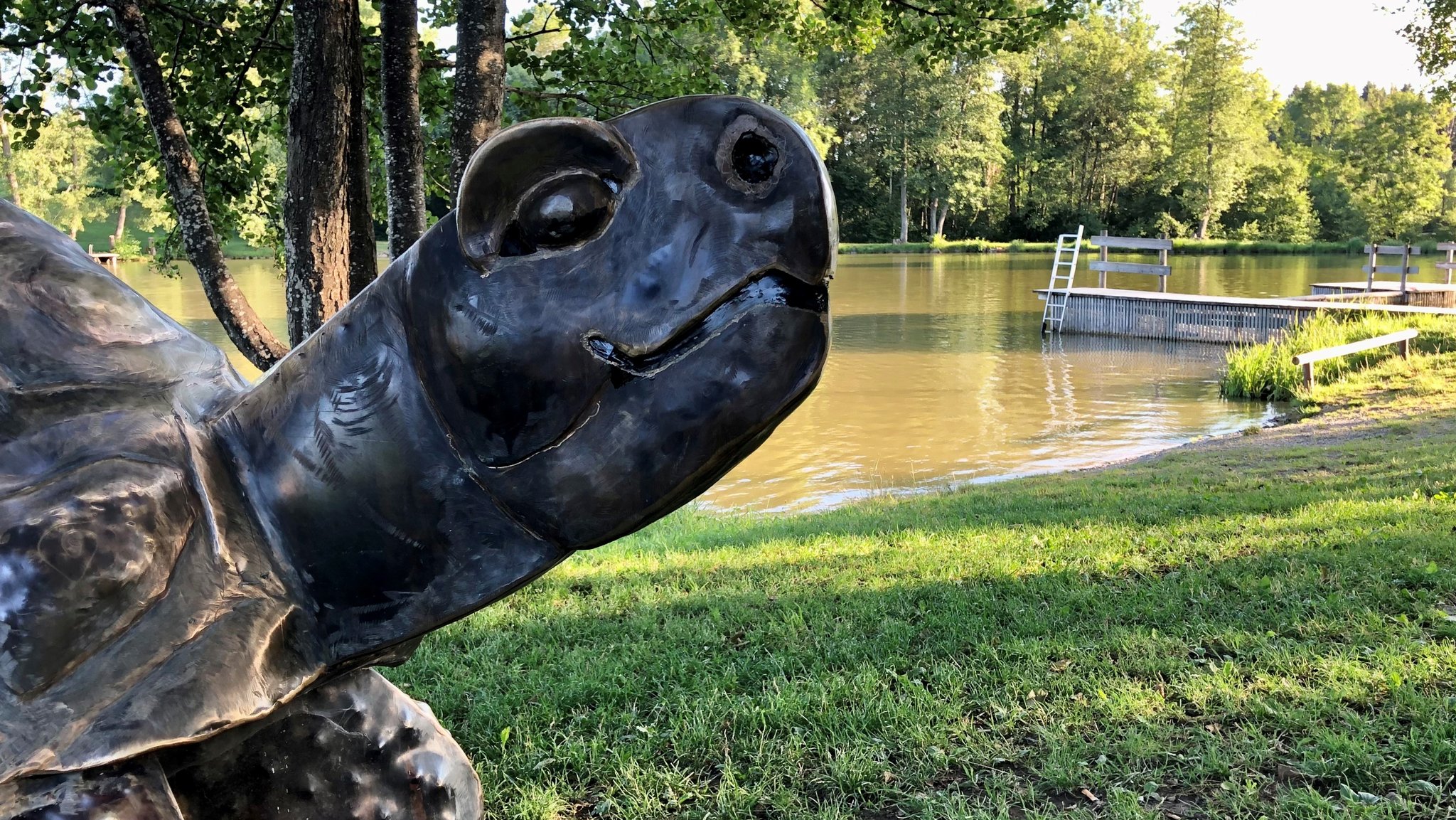 Eine große Schildkröte aus Metall am Ufer des Oggenrieder Weihers erinnert an Lotti.