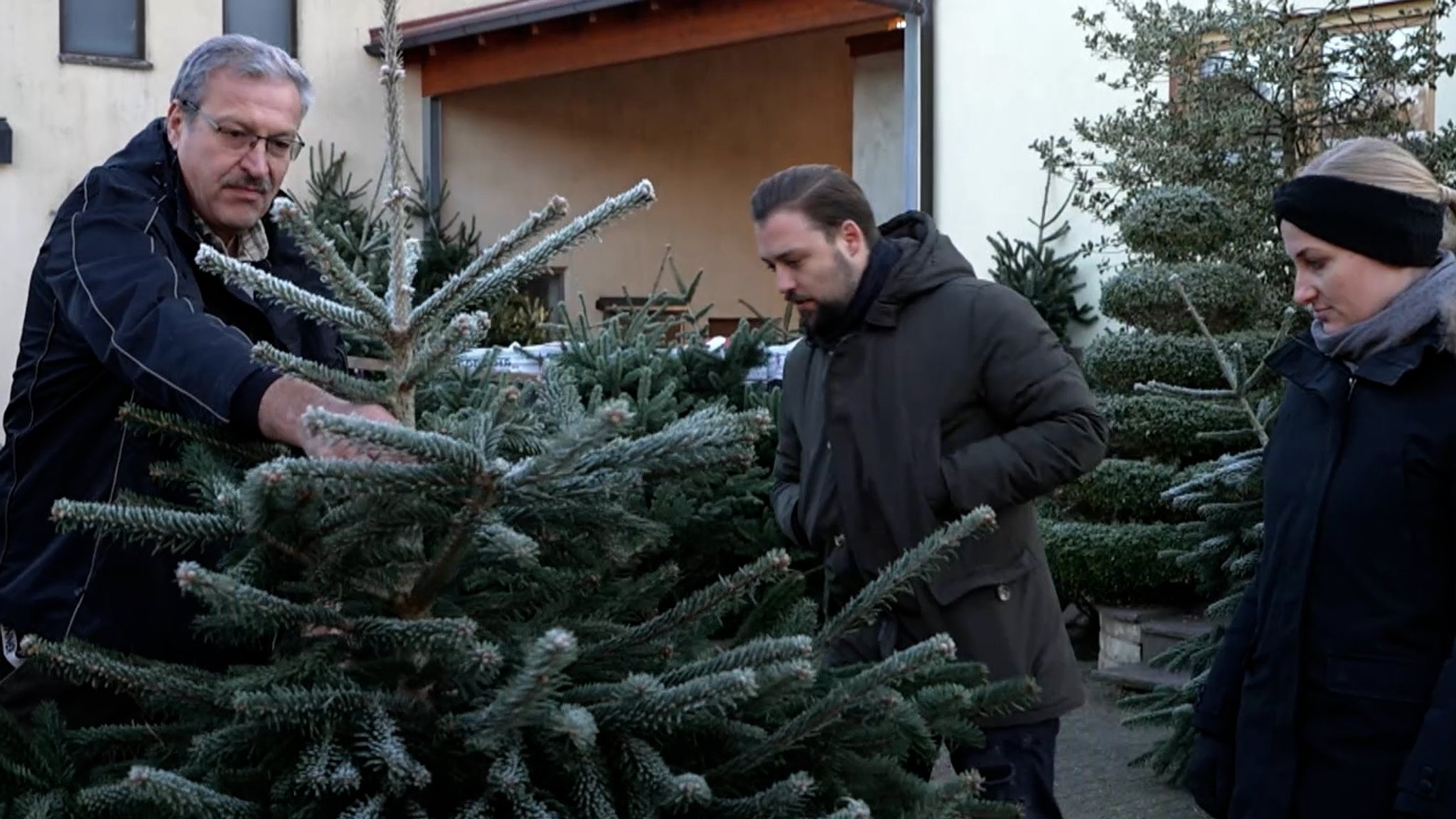 Ein Weihnachtsbaum wird von drei Personen begutachtet