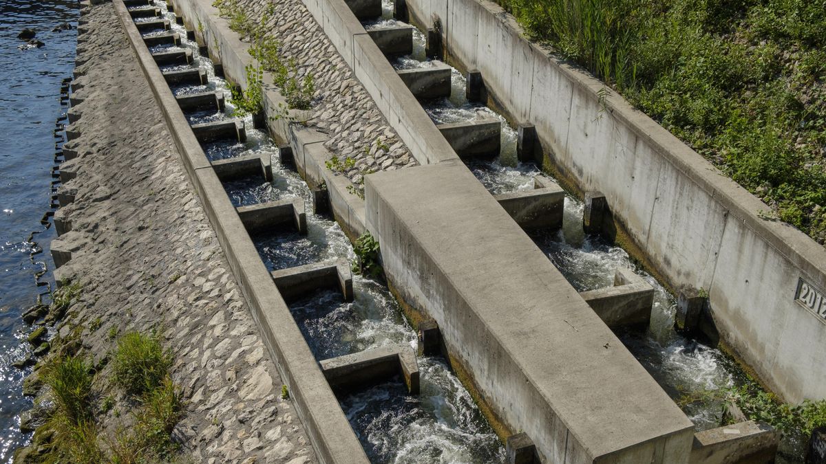 Naturschutzer Bayerns Flusse In Schlechtem Zustand Br24