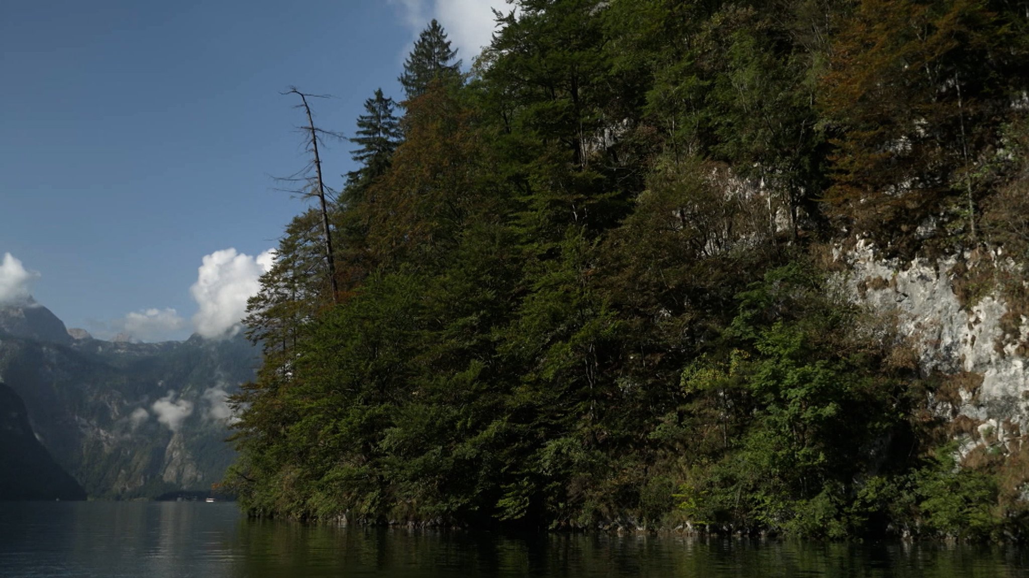Berchtesgaden: Waldinventur im Nationalpark | Bild: Bayerischer Rundfunk 2026 Berchtesgaden: Waldinventur im Nationalpark