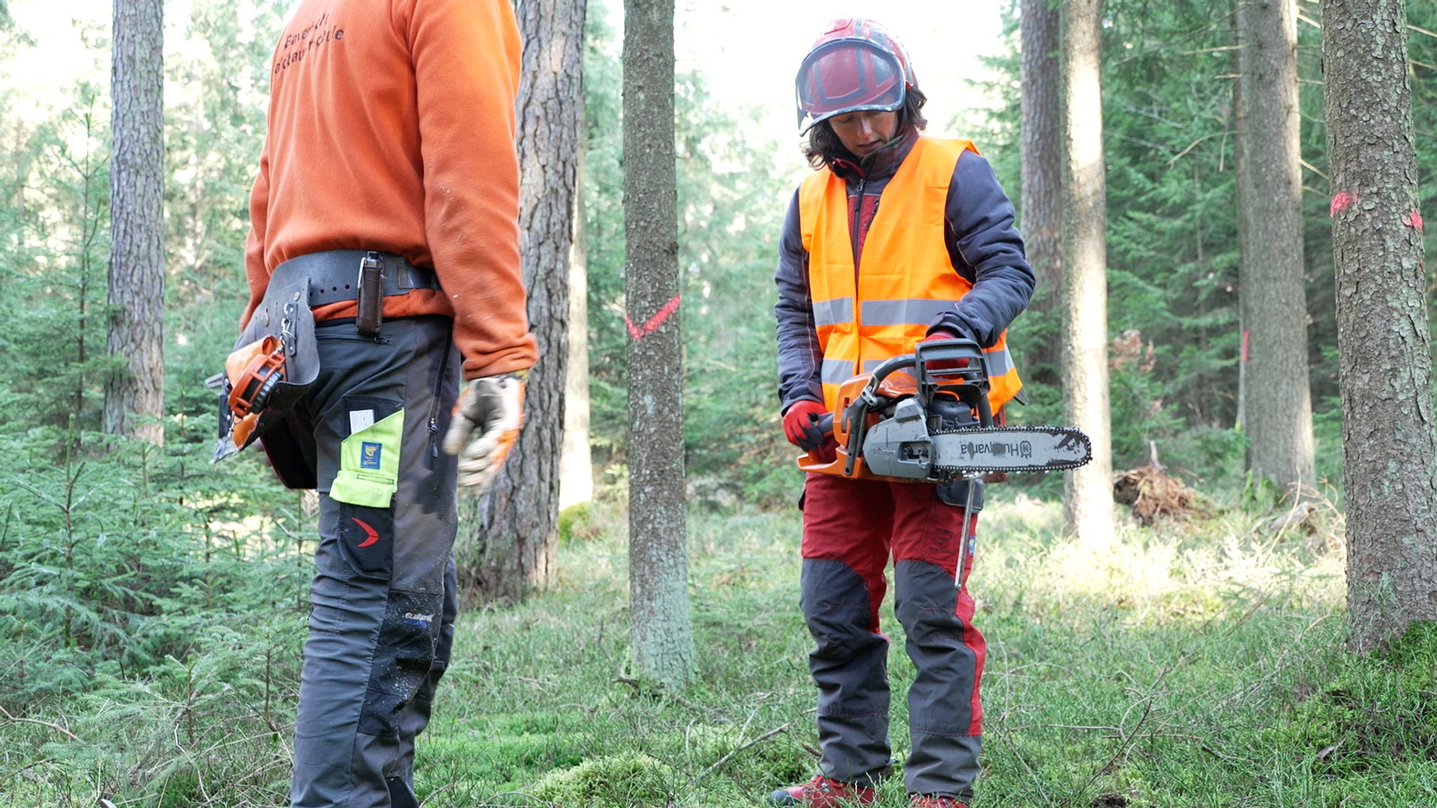 Eine Frau steht mit einer Motorsäge im Wald. 