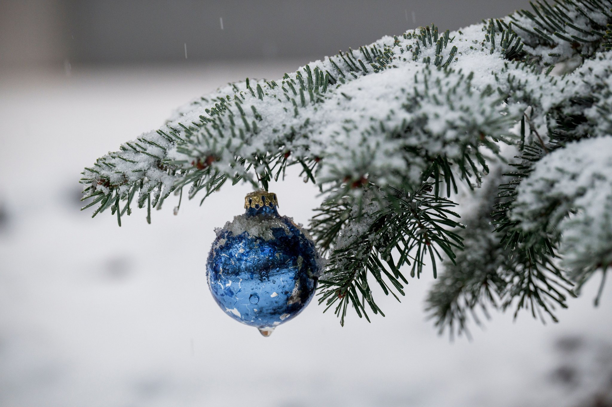 ARCHIV - 22.12.2024, Bayern, Warmensteinach: An einem Nadelbaum hängt blauer Weihnachtsbaumschmuck. Die Wetterprognose für die Festtage ist noch unsicher.  (zu dpa: «Gibt es weiße Weihnachten in Bayern?») Foto: Daniel Vogl/dpa +++ dpa-Bildfunk +++