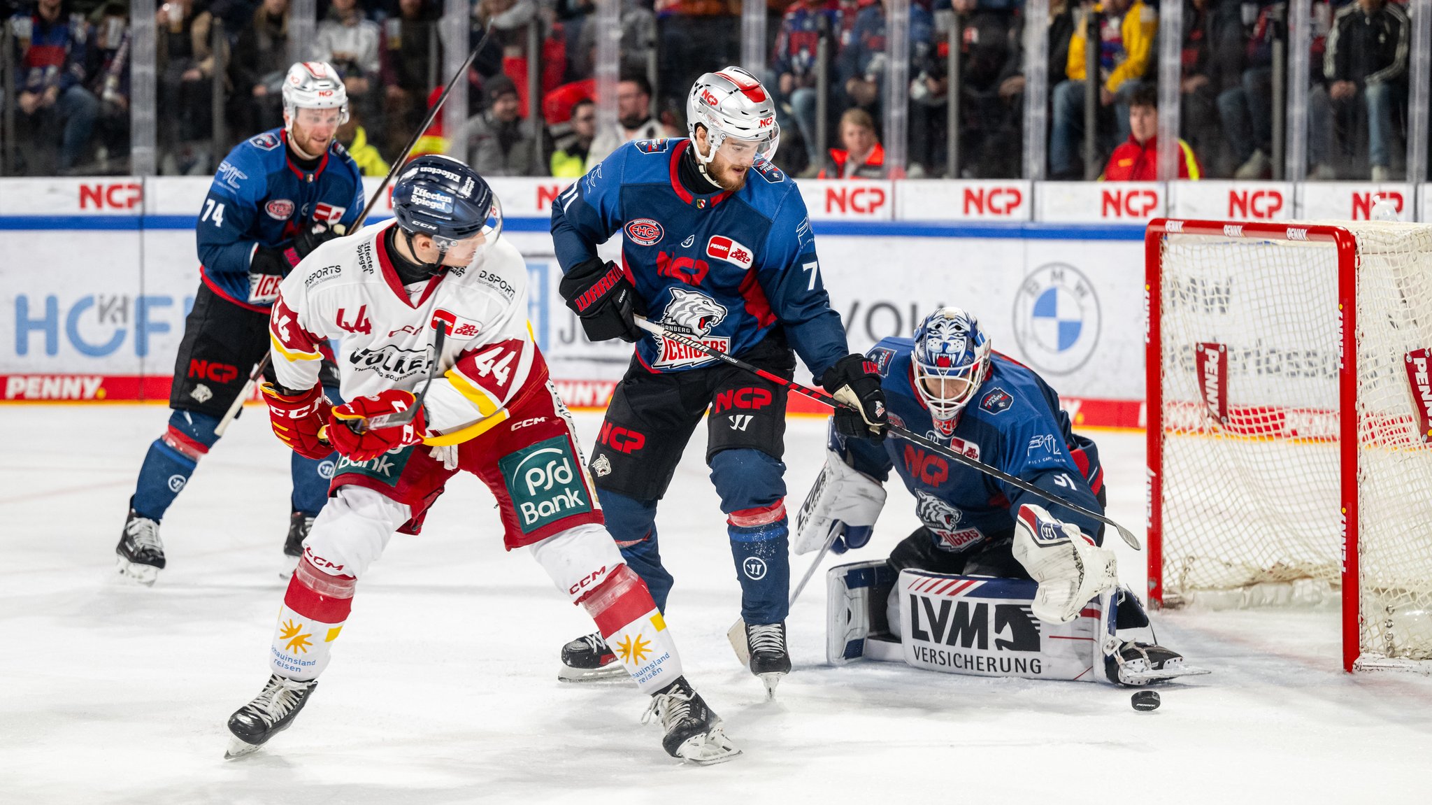 5:3 gegen Düsseldorf: Nürnberg Ice Tigers lösen Play-Off-Ticket