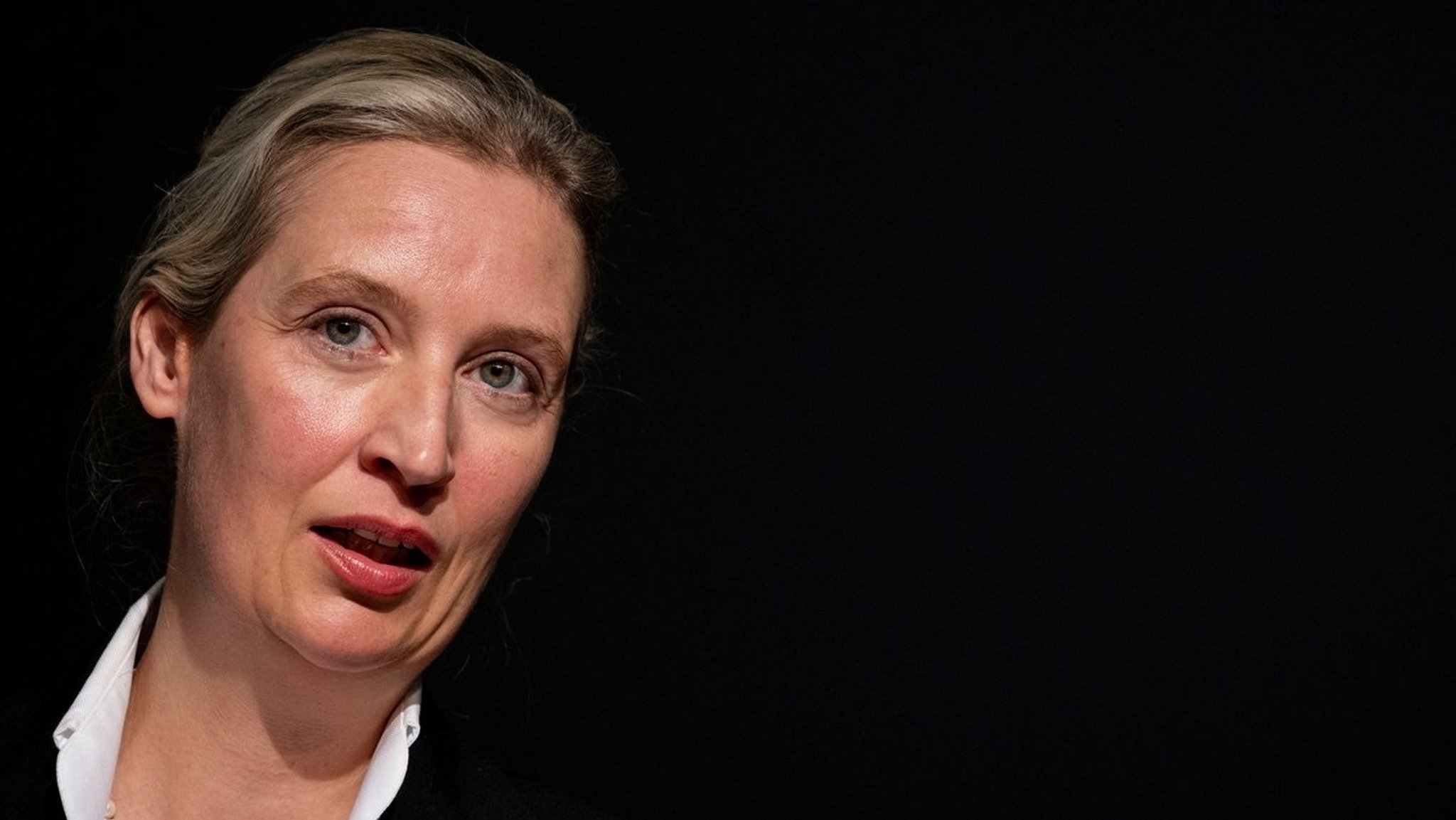 Plagiatsverdacht nicht erhärtet: Kein Verfahren gegen Weidel