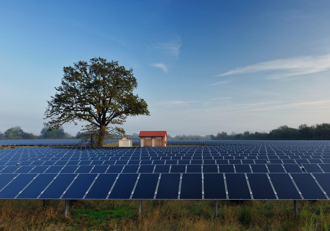 Eine großflächige Solaranlage auf einer Wiese. In der Mitte stehen ein Baum und eine Hütte.