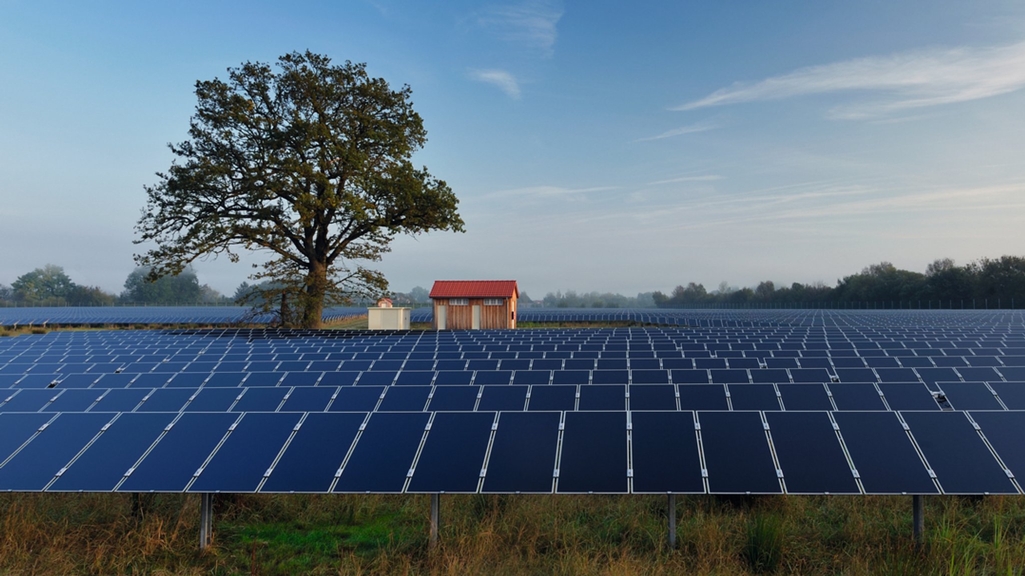 Eine großflächige Solaranlage auf einer Wiese. In der Mitte stehen ein Baum und eine Hütte.