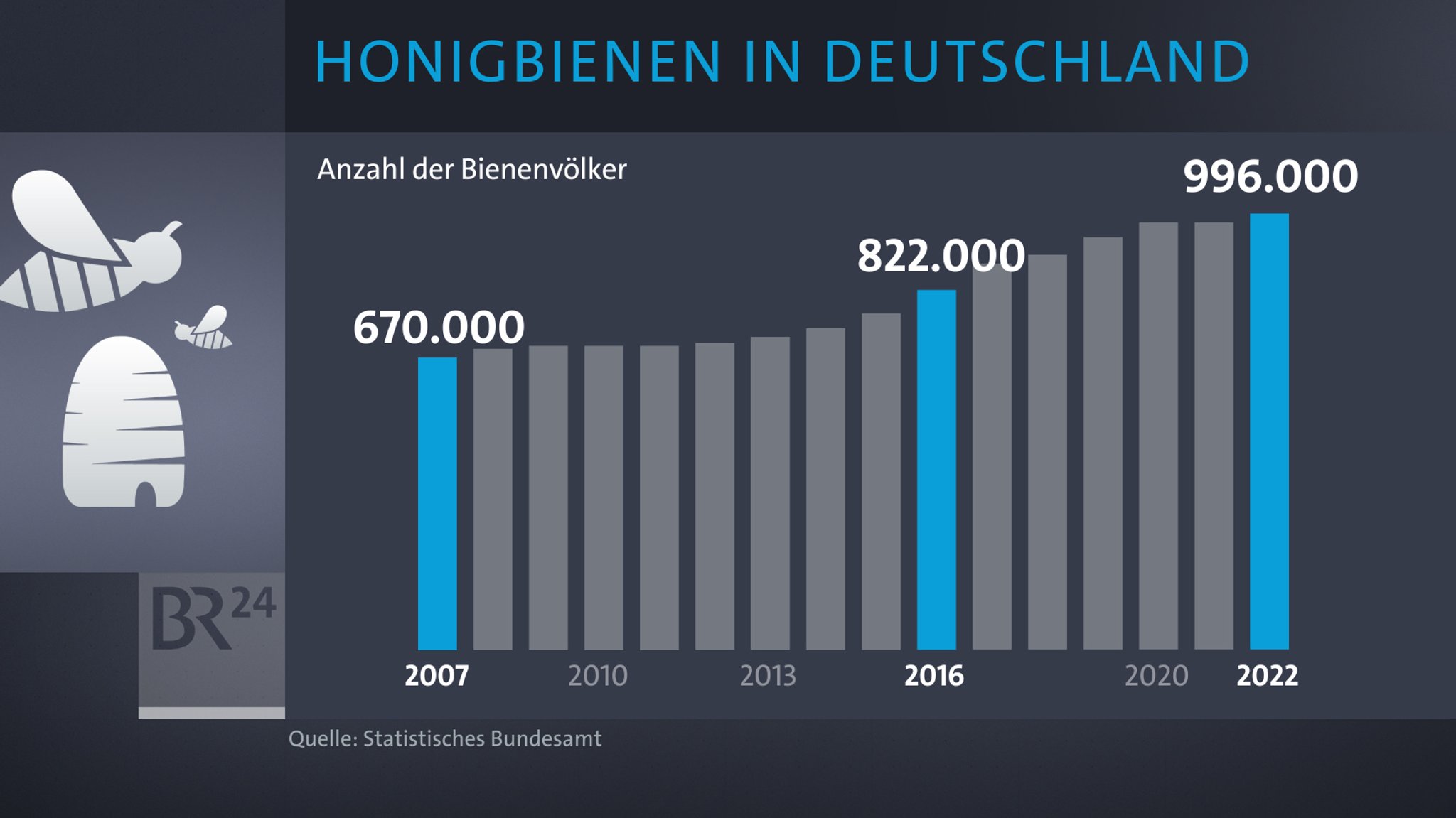 Trotzdem steht die Hälfte der Wildbienenarten in Deutschland weiter auf der Roten Liste bedrohter Arten.