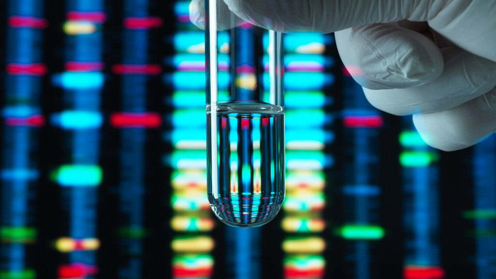 Symbolbild: Genforschung, Reagenzglas vor einem DNA-Profil. Das menschliche Genom wurde vor über 20 Jahren entschlüsselt, jetzt macht sich die Forschung auf die Suche des Pangenoms.